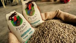 Café peruano llega a más mercados