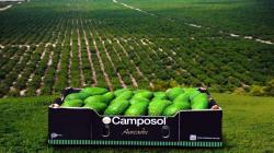 Camposol amplía su presencia en nuevos mercados