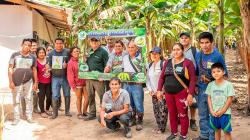 Capacitan a agricultores para mejorar cultivo de plátano en San Martín