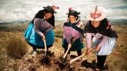 Cerca de un millón de mujeres se dedican a actividades agropecuarias en Perú