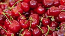 Cereza peruana busca ingresar a China
