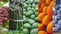 Chile y México entre los principales destinos de la agroexportación peruana hasta julio de 2026