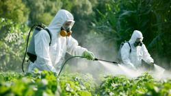 Ciencia y tecnología serán claves para enfrentar amenazas fitosanitarias del agro hacia el 2026