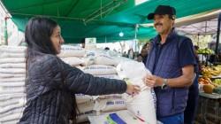 Colocarán 3.500 Tn de arroz de la agricultura familiar en el mercado estatal y regional