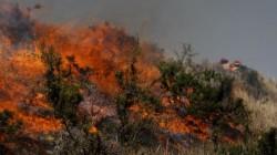 Comisión Agraria del Congreso solicita al gobierno acciones urgentes ante incendios forestales