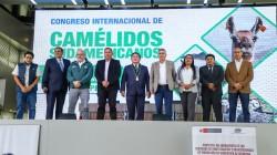 Comparten tecnologías y avances científicos de crianza de camélidos en Primer Congreso Internacional Arequipa 2024