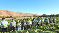 Componente adicional de embalse ‘Los Cardos’ permitirá afianzar irrigación de La Yarada Los Palos en Tacna