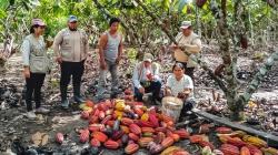 Comunidad nativa de Ucayali concreta venta de más de 10 toneladas de cacao de bosques conservados