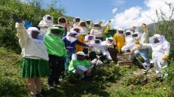 Concurso de miel y encuentro de apicultores se desarrollará en Áncash