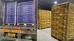 Confinamientos en China obligan a los exportadores de fruta a desviarse al sudeste asiático