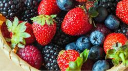 Congreso debatirá proyecto “Ley que fomenta la producción, exportación e industrialización de los frutos del bosque – Berries”
