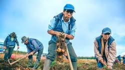 Continúa recuperación del empleo formal en el Perú