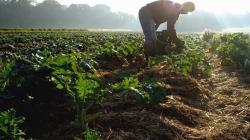 Cooperativas exigen un cambio radical de las propuestas de la UE sobre envases y productos fitosanitarios