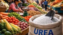 Costo de fertilizantes se duplica, ¿qué productos son los más impactados?