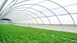 “Cuando la sierra esté llena de invernaderos con ayuda de la minería formal, la gente rechazará la minería ilegal”