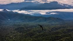 Cusco avanza en la protección de los Bosques del Araza, fuente de agua para el sur