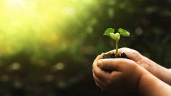 Derecho de Obtentor, una herramienta que promueve el desarrollo de la investigación e Innovación en agricultura