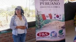 DRA Piura busca introducir el ajonjolí a Corea del Sur