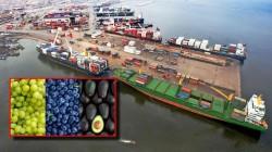 El 90.88% de las agroexportaciones peruanas se despacharon vía marítima en 2025