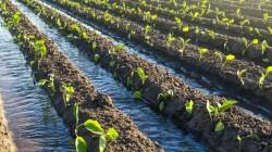 El ciclo del agua en nuestro país