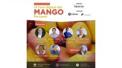 El Cuarto Foro Digital del Mango de Perú ya está en marcha