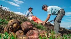 El derecho a los alimentos para una vida y un futuro mejores