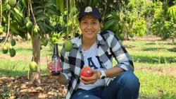 “El mango de Michoacán (México) necesita más unidad, organización e internacionalización”