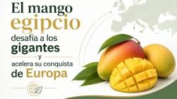 El mango egipcio desafía a los gigantes y acelera su conquista de Europa