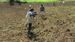 El Niño ya no es excepción: hacia una agricultura resiliente en el Perú