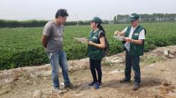 El Perú mide su agro, pero no lo transforma