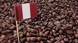 El sector café se consolida como una importante fuente de empleo