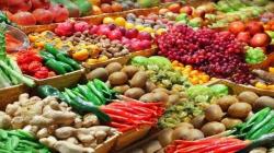 España importó 2.7 millones de toneladas de frutas y hortalizas frescas entre enero y septiembre de 2022, mostrando un aumento de 7%