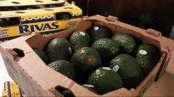 Estados Unidos suspende importación de palta de Michoacán