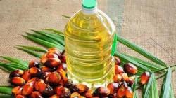 Exportaciones de aceite de palma cayeron 27.65% en valor y 28.41% en volumen