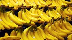 Exportaciones de banano cayeron 3.24% en volumen en 2025