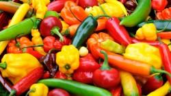 Exportaciones de capsicum superaron los US$ 162 millones entre enero y julio del 2024