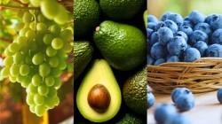 Exportaciones de frutas y hortalizas sumaron US$ 3.929.488.000 a julio de 2026