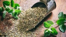 Exportaciones de orégano crecieron en valor 37.4% en 2025