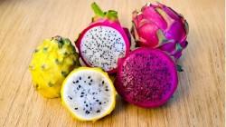 Exportaciones ecuatorianas de pitahaya sumaron US$ 171.7 millones en 2023, mostrando un alza de 72%