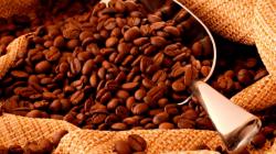 Exportaciones peruanas de café cayeron -15% en volumen y -32% en valor en 2023