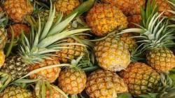 Exportaciones peruanas de piña alcanzaron las 427 toneladas por US$ 2.2 millones en agosto