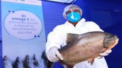 Ferias Mi Pescadería promovieron aumento de consumo de pescado en 25% en abril de este año