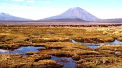 Fortalecen seguridad hídrica con recuperación de ecosistemas altoandinos