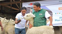 Gobierno culmina la entrega de kits agropecuarios en Arequipa