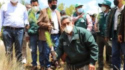 Gobierno Regional de Cajamarca sembró un millón de árboles