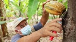 Herramientas de trazabilidad ayudan a agroexportadores a estar preparados para reglamento europeo sobre deforestación