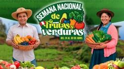 Hortofrutícola peruana pasó de 9.1 millones a 11.7 millones de toneladas, entre el 2014 y 2024