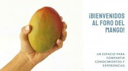 I Foro de Producción y Comercialización del Mango