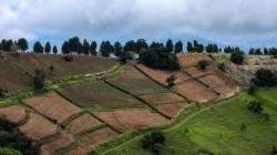 IICA organiza segundo foro: recarbonización de los suelos agrícolas