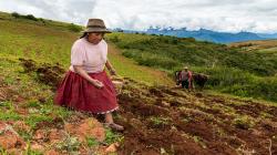 IICA y Practical Action ejecutarán proyectos de resiliencia climática y recuperación verde post pandemia en Perú